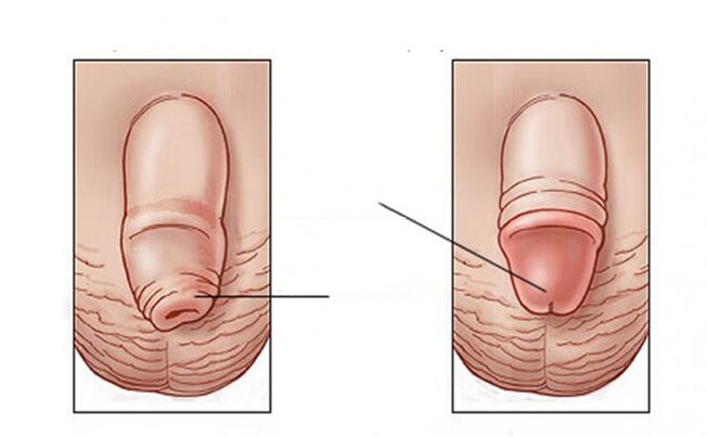 Nhiệm vụ nào mà chất bôi trơn thực hiện